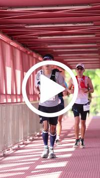 BIB:  <button type="button" onclick="openModal(27577141)" class="btn btn-primary btn-sm float-right" data-toggle="modal" data-target=".modal-high-quality">
                <i class="fa fa-download"></i> Download
                </button>